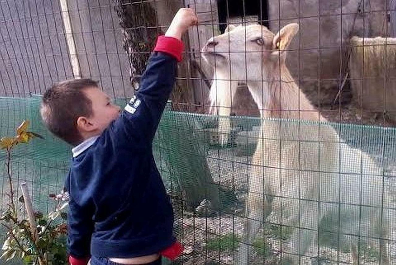 圣布鲁纳农家乐 渥尔特拉 外观 照片